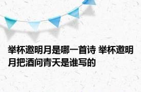 举杯邀明月是哪一首诗 举杯邀明月把酒问青天是谁写的