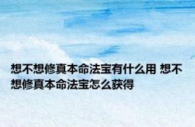 想不想修真本命法宝有什么用 想不想修真本命法宝怎么获得