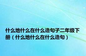 什么地什么在什么造句子二年级下册（什么地什么在什么造句）