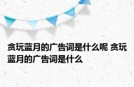 贪玩蓝月的广告词是什么呢 贪玩蓝月的广告词是什么