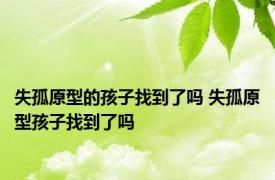 失孤原型的孩子找到了吗 失孤原型孩子找到了吗