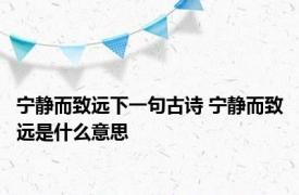 宁静而致远下一句古诗 宁静而致远是什么意思