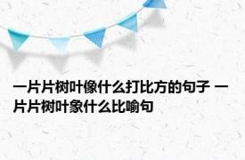 一片片树叶像什么打比方的句子 一片片树叶象什么比喻句