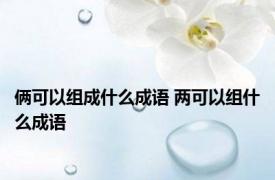 俩可以组成什么成语 两可以组什么成语