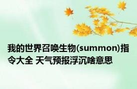 我的世界召唤生物(summon)指令大全 天气预报浮沉啥意思