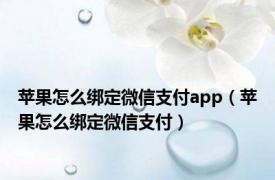 苹果怎么绑定微信支付app（苹果怎么绑定微信支付）