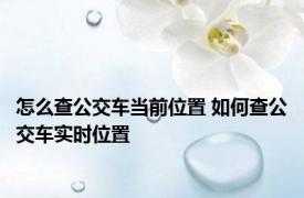 怎么查公交车当前位置 如何查公交车实时位置