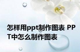 怎样用ppt制作图表 PPT中怎么制作图表