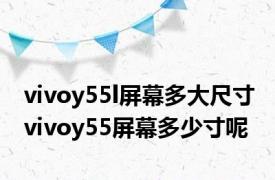 vivoy55l屏幕多大尺寸 vivoy55屏幕多少寸呢