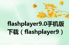 flashplayer9.0手机版下载（flashplayer9）