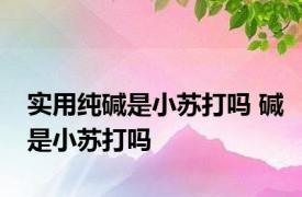 实用纯碱是小苏打吗 碱是小苏打吗