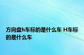 方向盘h车标的是什么车 H车标的是什么车