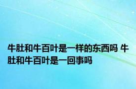 牛肚和牛百叶是一样的东西吗 牛肚和牛百叶是一回事吗