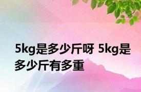 5kg是多少斤呀 5kg是多少斤有多重