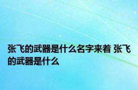 张飞的武器是什么名字来着 张飞的武器是什么