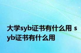 大学syb证书有什么用 syb证书有什么用