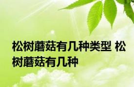 松树蘑菇有几种类型 松树蘑菇有几种