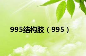 995结构胶（995）