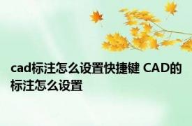 cad标注怎么设置快捷键 CAD的标注怎么设置