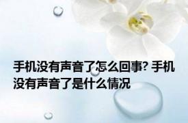 手机没有声音了怎么回事? 手机没有声音了是什么情况