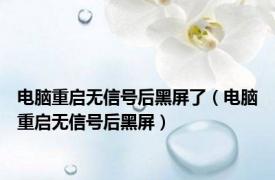 电脑重启无信号后黑屏了（电脑重启无信号后黑屏）