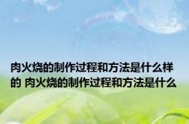 肉火烧的制作过程和方法是什么样的 肉火烧的制作过程和方法是什么