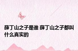 薛丁山之子是谁 薛丁山之子都叫什么真实的