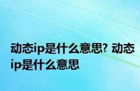 动态ip是什么意思? 动态ip是什么意思