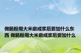 做肠粉用大米磨成浆后要加什么东西 做肠粉用大米磨成浆后要加什么