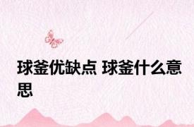 球釜优缺点 球釜什么意思