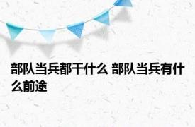 部队当兵都干什么 部队当兵有什么前途