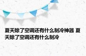 夏天除了空调还有什么制冷神器 夏天除了空调还有什么制冷