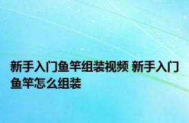 新手入门鱼竿组装视频 新手入门鱼竿怎么组装