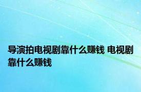 导演拍电视剧靠什么赚钱 电视剧靠什么赚钱