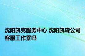 沈阳凯克服务中心 沈阳凯森公司客服工作累吗