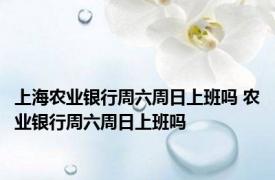 上海农业银行周六周日上班吗 农业银行周六周日上班吗