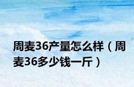 周麦36产量怎么样（周麦36多少钱一斤）