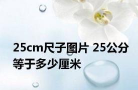 25cm尺子图片 25公分等于多少厘米