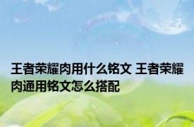 王者荣耀肉用什么铭文 王者荣耀肉通用铭文怎么搭配