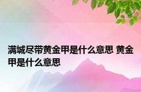 满城尽带黄金甲是什么意思 黄金甲是什么意思