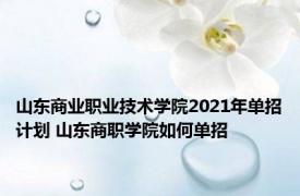 山东商业职业技术学院2021年单招计划 山东商职学院如何单招