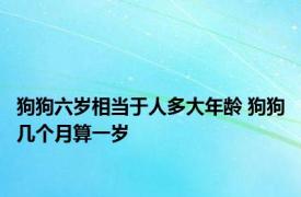 狗狗六岁相当于人多大年龄 狗狗几个月算一岁