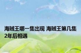 海贼王哪一集出现 海贼王第几集2年后相遇