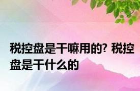 税控盘是干嘛用的? 税控盘是干什么的