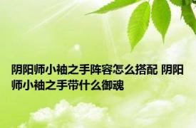 阴阳师小袖之手阵容怎么搭配 阴阳师小袖之手带什么御魂