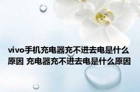 vivo手机充电器充不进去电是什么原因 充电器充不进去电是什么原因