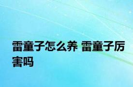 雷童子怎么养 雷童子厉害吗