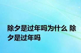 除夕是过年吗为什么 除夕是过年吗