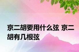 京二胡要用什么弦 京二胡有几根弦