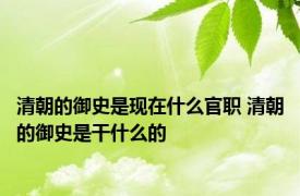 清朝的御史是现在什么官职 清朝的御史是干什么的